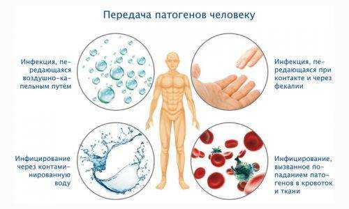 норовирус питание и лечение у детей