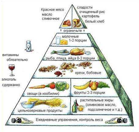 пирамида продуктов питания для детей