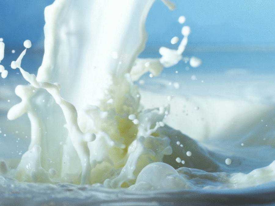 питание детей раннего возраста с молочной кухни