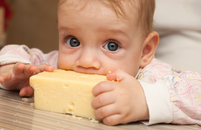 сыр в питании детей раннего возраста