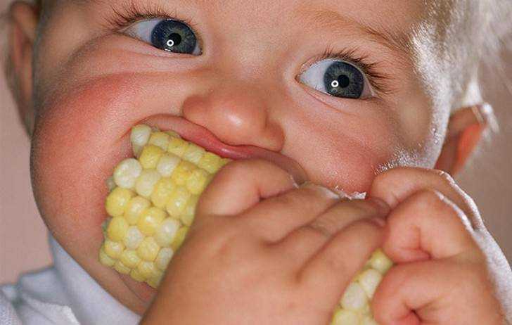 кукуруза в питании детей