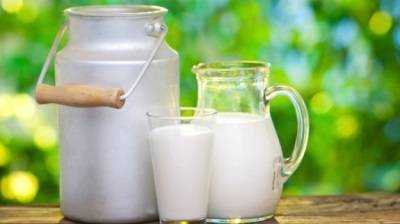 молоко в питание детей