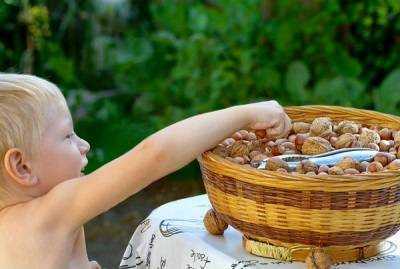 орехи в питании детей