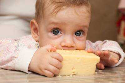 сыр в питании детей