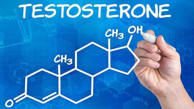 тестостерон у детей питание