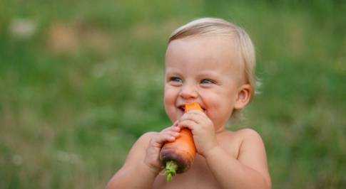 вегетарианское питание для детей за и против